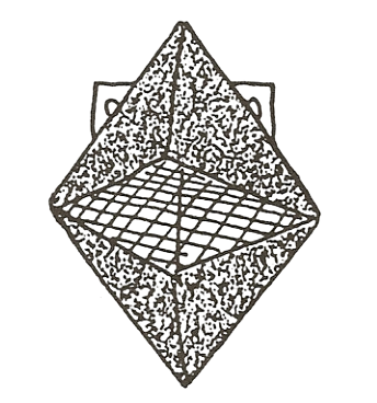 Frogger