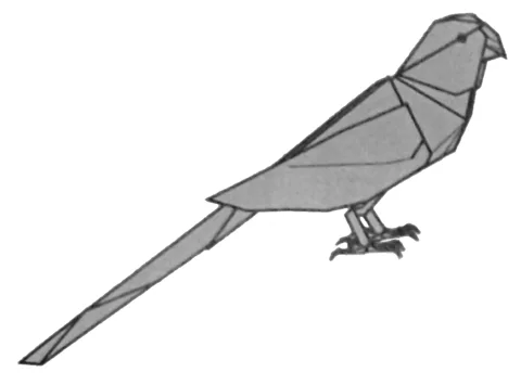 Parrot