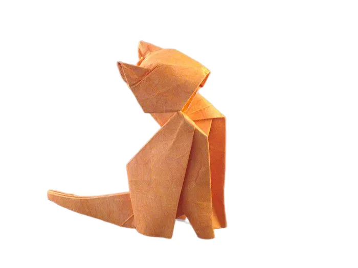 Cat - 15 degree 2007