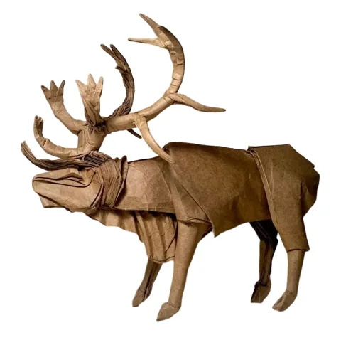 Caribou