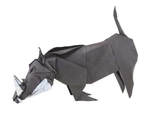 Warthog