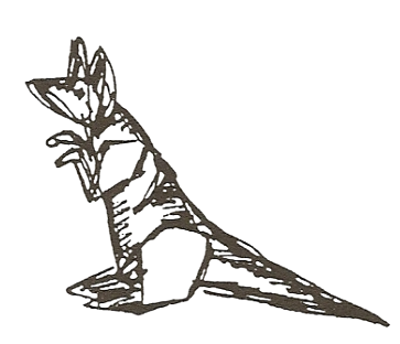 Kangaroo