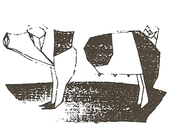 Pig - spotted