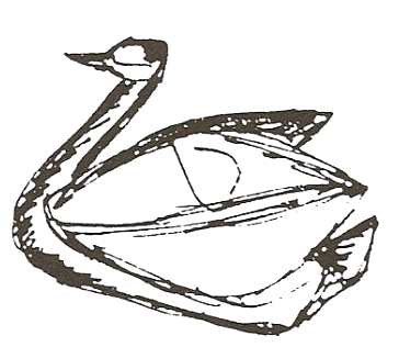 Swan