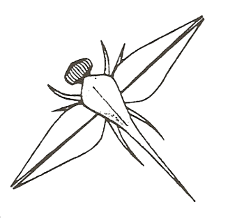 Dragonfly - postscript