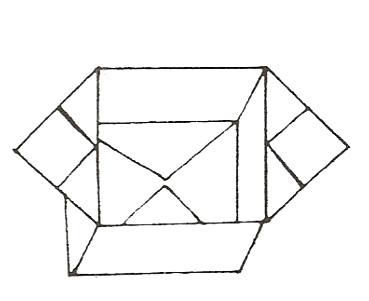 Bi-color box