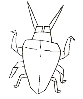 Scarab beetle