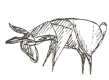 Antelope