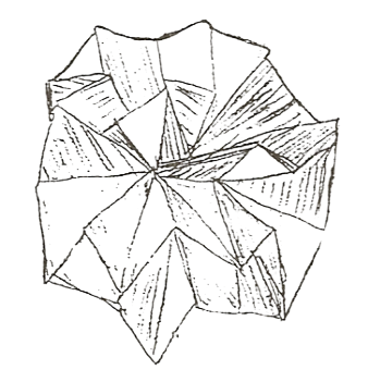 Hexafleur