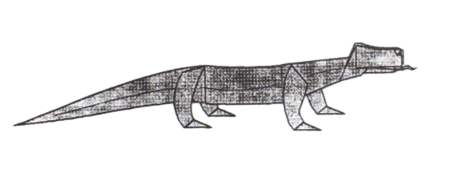 Komodo dragon