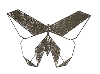 Butterfly - V'Ann