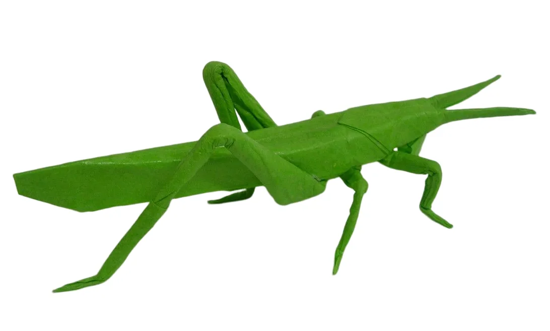 Grasshopper - walking