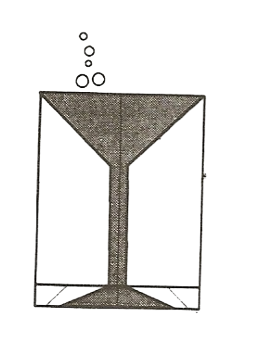 Wine glass