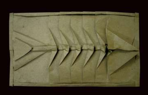Fish bones