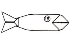 Sardine