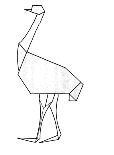 Ostrich