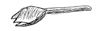 Spork