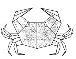 Crab