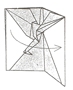 Crane card pop up