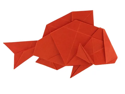 Red Sea Brim