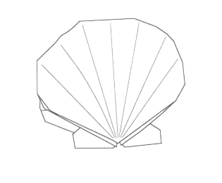 Scallop