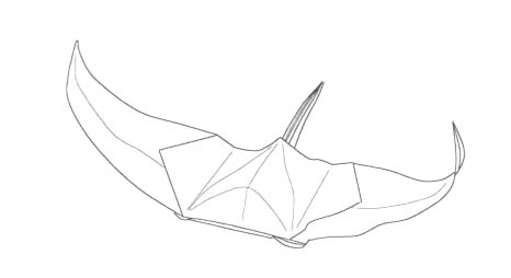 Underbird