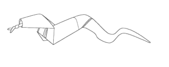 Snake with forked tongue