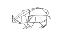 Rhinoceros