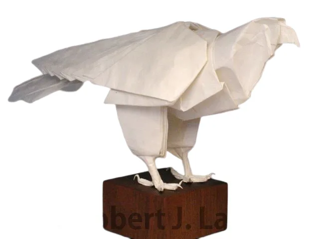 Peregrin falcon