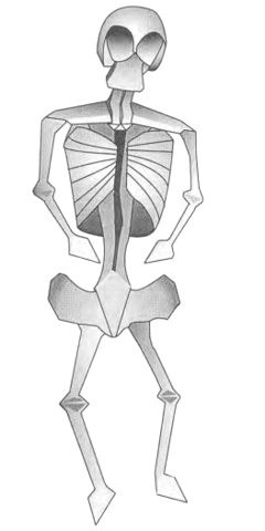 Skeleton