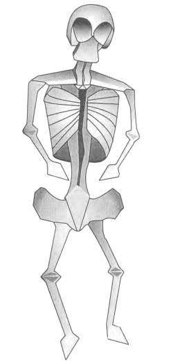 Skeleton