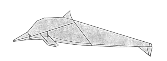 Dolphin - bottle-nose
