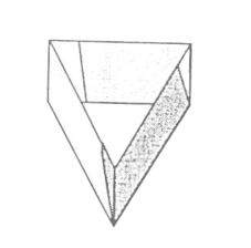Triangle flap box