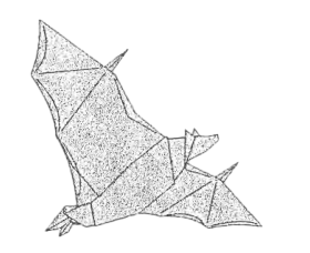 Flying fox