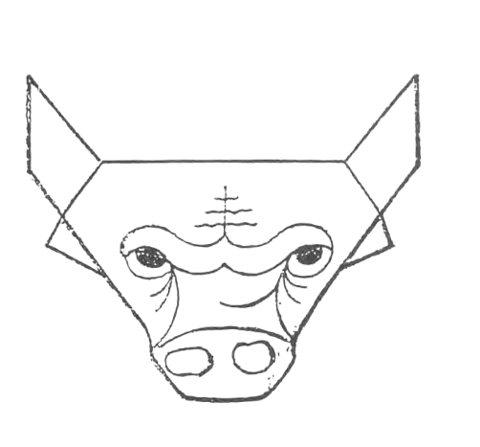 Bull head
