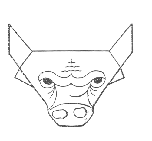 Bull head