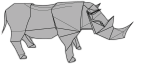 Rhinoceros