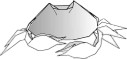 Crab