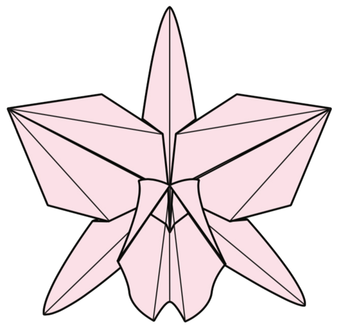 Orchid for Susie