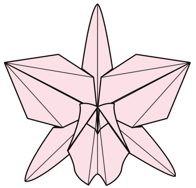Orchid for Susie