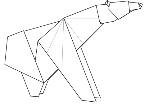 Polar bear
