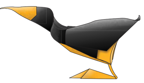 Oystercatcher