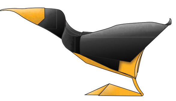 Oystercatcher