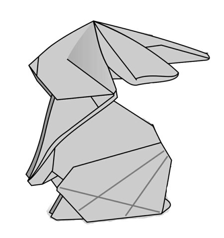 Rabbit baby