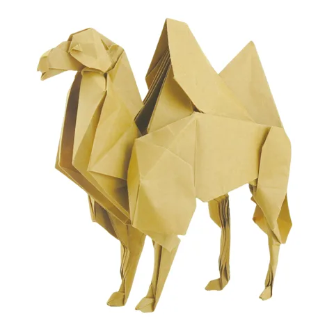 Bactrian camel
