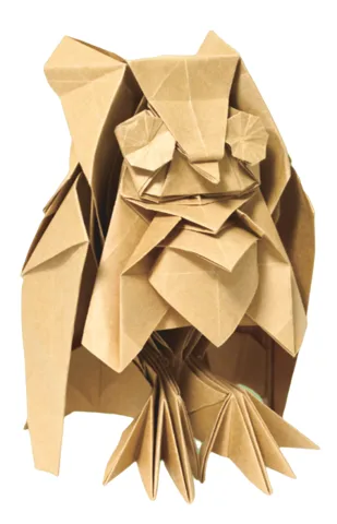Owl