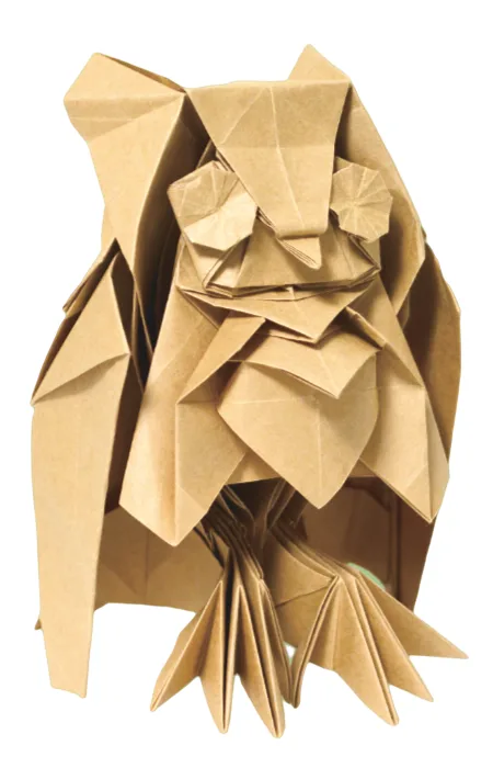 Owl