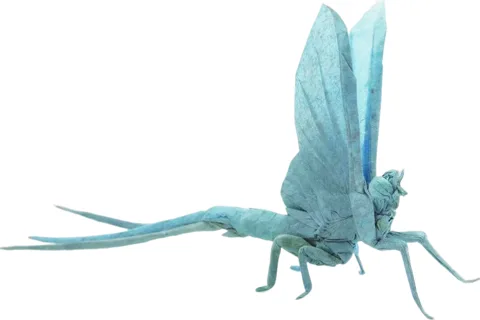 Mayfly