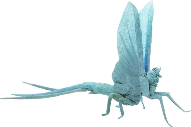 Mayfly