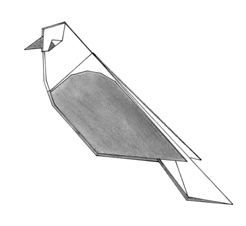 Garden bird